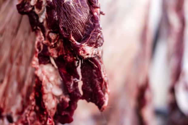 In Italien zogen die Preise für Jungbullen stark an. In Italien zogen die Preise für Jungbullen stark an.