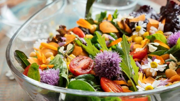 Salat ist gesund. Bei einer rein pflanzlichen Ernährung drohen aber Mangelerscheinungen. Salat ist gesund. Bei einer rein pflanzlichen Ernährung drohen aber Mangelerscheinungen.