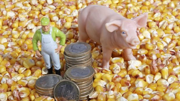 Die Idee, den Schweinepreis automatisch an die Produktionskosten anzupassen, stößt im Wirtschaftsausschuss des Bundesrats auf Widerstand. Die Idee, den Schweinepreis automatisch an die Produktionskosten anzupassen, stößt im Wirtschaftsausschuss des Bundesrats auf Widerstand.