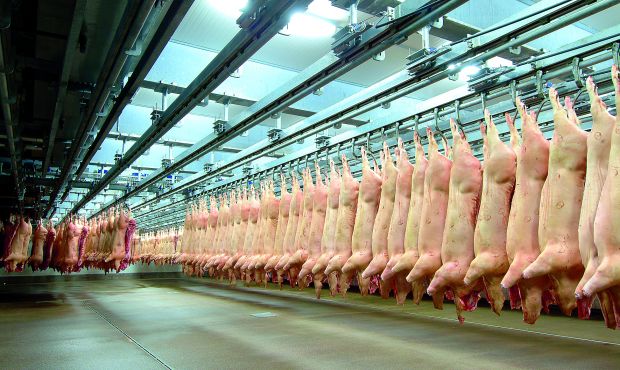 Die Importländer werden alle notwendigen Informationen erhalten, damit sie die ASP-bedingten Beschränkungen aufheben können. Die Importländer werden alle notwendigen Informationen erhalten, damit sie die ASP-bedingten Beschränkungen aufheben können.