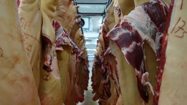 Schweinehälften im Kühlhaus. Schweinehälften im Kühlhaus.