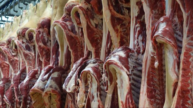 In der Volksrepublik China ist Schweinefleisch aus Deutschland begehrt. Die enormen Lieferungen bescheren der Branche hierzulande ein sattes Umsatzplus zwischen Januar und April 2020. In der Volksrepublik China ist Schweinefleisch aus Deutschland begehrt. Die enormen Lieferungen bescheren der Branche hierzulande ein sattes Umsatzplus zwischen Januar und April 2020.