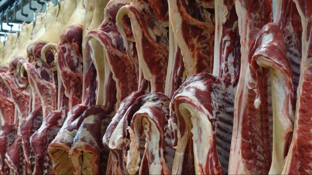 In der Woche vom 23. bis 29. November 2020 verzeichnete der EU-Schlachtschweinemarkt kräftige Preisabschläge. Der Durchschnittspreis fiel unter die Marke von 1,30 Euro In der Woche vom 23. bis 29. November 2020 verzeichnete der EU-Schlachtschweinemarkt kräftige Preisabschläge. Der Durchschnittspreis fiel unter die Marke von 1,30 Euro