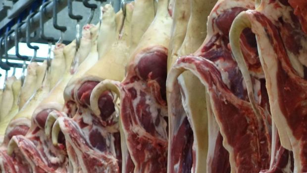 Die Nachfrage ist aufgrund geschlossener Drittlandsmärkte und der eingeschränkten Nachfrage aus der Gastronomie weiter begrenzt. Die Nachfrage ist aufgrund geschlossener Drittlandsmärkte und der eingeschränkten Nachfrage aus der Gastronomie weiter begrenzt.