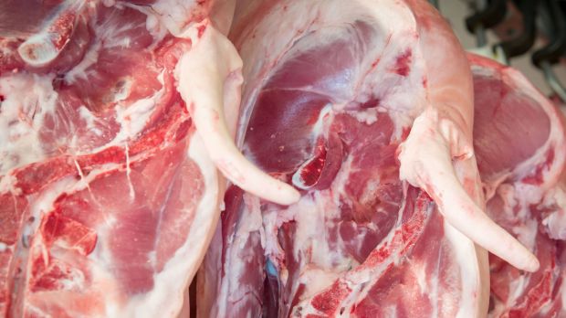 Schweinefleisch ist in der laufenden Woche in etwas größeren Mengen im Angebot. Zugleich ist aber auch die Nachfrage flotter. Schweinefleisch ist in der laufenden Woche in etwas größeren Mengen im Angebot. Zugleich ist aber auch die Nachfrage flotter.