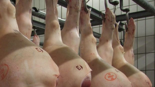 Tierische Produkte sind im Schnitt 15,5 Prozent billiger als im Vorjahr. Maßgeblich dafür sind die sehr niedrigen Preise für Schlachtschweine. Tierische Produkte sind im Schnitt 15,5 Prozent billiger als im Vorjahr. Maßgeblich dafür sind die sehr niedrigen Preise für Schlachtschweine.