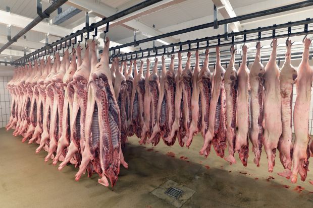 Die Belieferung der Kunden in Bochum und Umgebung mit Schweinefleisch erfolgt in den kommenden Jahren aus Loxstedt (Symbolbild). Die Belieferung der Kunden in Bochum und Umgebung mit Schweinefleisch erfolgt in den kommenden Jahren aus Loxstedt (Symbolbild).