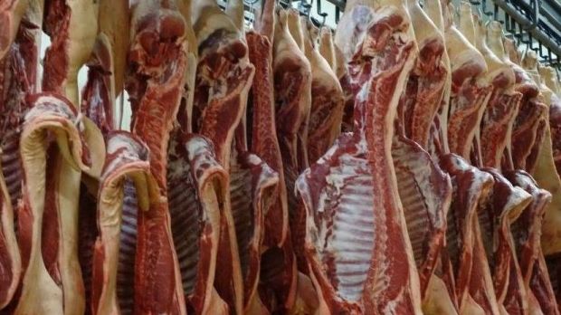 Das Angebot an Schlachtschweinen fällt momentan klein aus - auch die Schlachtgewichte pendelten zurück. Das Angebot an Schlachtschweinen fällt momentan klein aus - auch die Schlachtgewichte pendelten zurück.