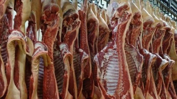 Schweinehälften im Kühlhaus. Schweinehälften im Kühlhaus.