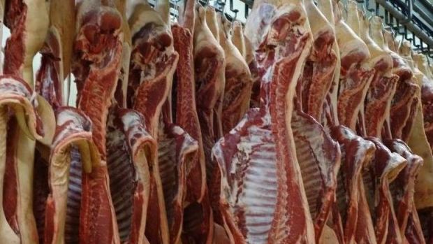 Eine momentan etwas anziehende Schweinefleischnachfrage stabilisiert die Notierung für Schlachtschweine. Eine momentan etwas anziehende Schweinefleischnachfrage stabilisiert die Notierung für Schlachtschweine.