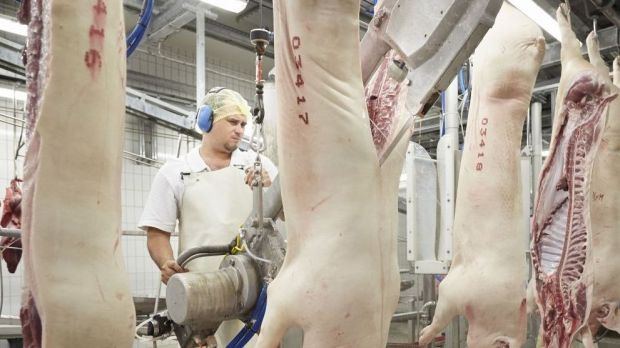 In den von der Pandemie stark betroffenen Werken von Westfleisch und Müller Fleisch entspannt sich die Lage. In den von der Pandemie stark betroffenen Werken von Westfleisch und Müller Fleisch entspannt sich die Lage.