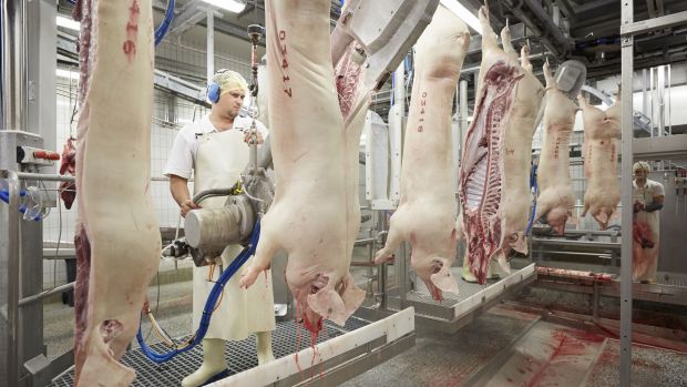 Die Bundesregierung hat schärfere Arbeitsschutzregeln für die Fleischindustrie beschlossen, nachdem die Arbeits- und Wohnsituation von Werkvertragsarbeitern am Pranger stand. Die Bundesregierung hat schärfere Arbeitsschutzregeln für die Fleischindustrie beschlossen, nachdem die Arbeits- und Wohnsituation von Werkvertragsarbeitern am Pranger stand.
