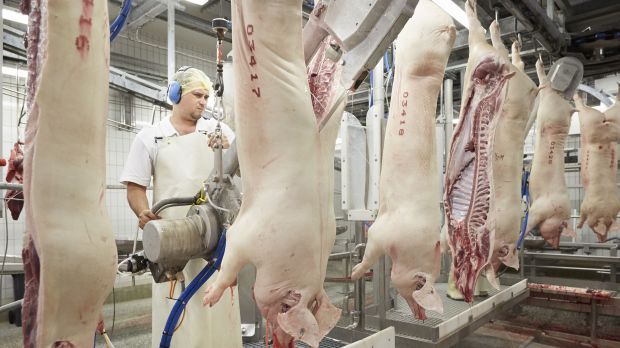 Im Juli 2020 kamen knapp 4,30 Mio. Schweine an den Haken. Das waren im Vergleich zum Vorjahresmonat 311.560 Tiere oder 6,8 Prozent weniger. Im Juli 2020 kamen knapp 4,30 Mio. Schweine an den Haken. Das waren im Vergleich zum Vorjahresmonat 311.560 Tiere oder 6,8 Prozent weniger.