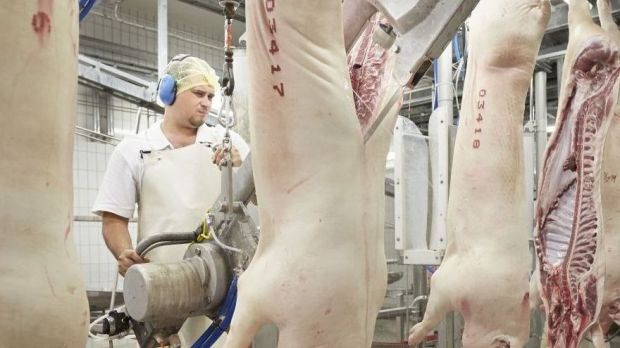 Das niedersächsische Landwirtschaftrsministerium gibt den Unternehmen der Fleischwirtschaft eine Hilfestellung im Kampf gegen das Coronavirus. Das niedersächsische Landwirtschaftrsministerium gibt den Unternehmen der Fleischwirtschaft eine Hilfestellung im Kampf gegen das Coronavirus.