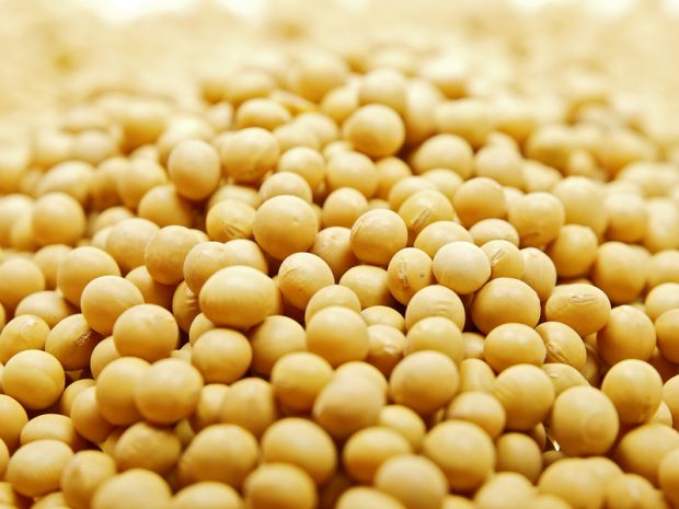 Insbesondere bei Soja reicht die heimische Produktion nicht aus. Insbesondere bei Soja reicht die heimische Produktion nicht aus.
