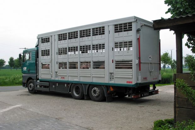 Spezialfahrzeug für den Transport von Lebendvieh. Spezialfahrzeug für den Transport von Lebendvieh.