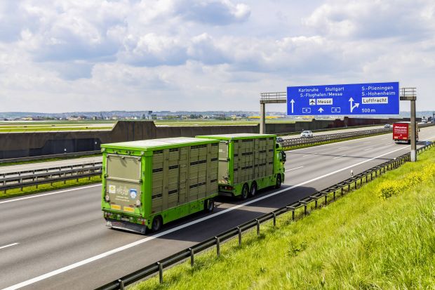 Tiertransporter unterwegs auf der A8. Tiertransporter unterwegs auf der A8.