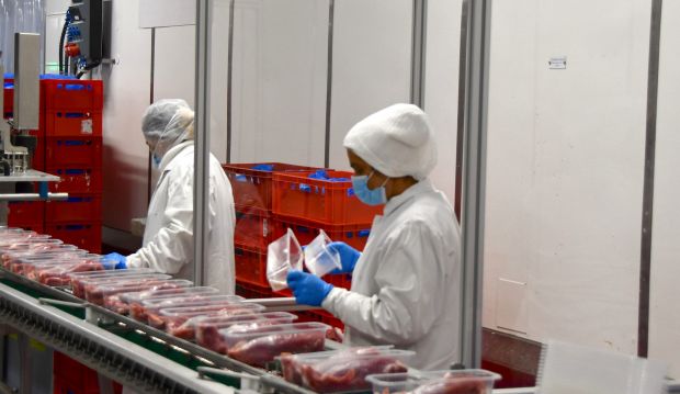 Im Bereich der Fleischwirtschaft besteht durch die Corona-Schutzmaßnahmen seit Wochen ein dramatischer Kapazitätsengpass. Im Bereich der Fleischwirtschaft besteht durch die Corona-Schutzmaßnahmen seit Wochen ein dramatischer Kapazitätsengpass.