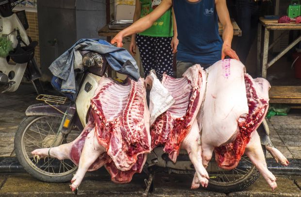 Vietnam hat die siebtgrößte Zahl an Schweinen weltweit und ist der sechstgrößte Schweinefleischproduzent.
Vietnam hat die siebtgrößte Zahl an Schweinen weltweit und ist der sechstgrößte Schweinefleischproduzent.