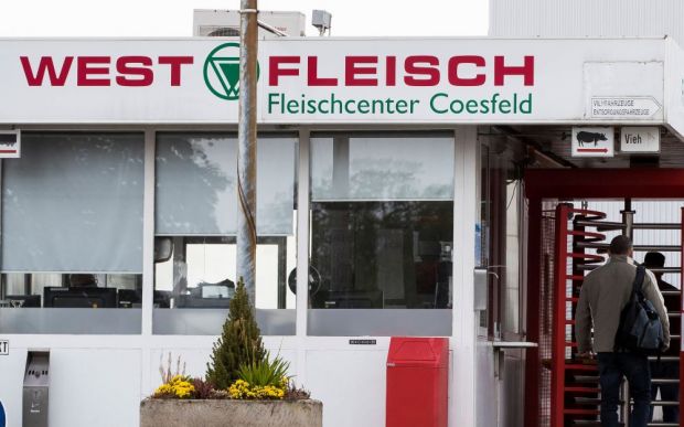 Die Schlachtung in Coesfeld soll ab Freitag schrittweise wieder an das normale Niveau von 9.000 Schweinen pro Tag angehoben werden. Die Schlachtung in Coesfeld soll ab Freitag schrittweise wieder an das normale Niveau von 9.000 Schweinen pro Tag angehoben werden.