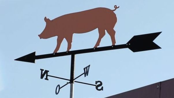 Worauf hofft die Fleischwirtschaft 2021? Worauf hofft die Fleischwirtschaft 2021?