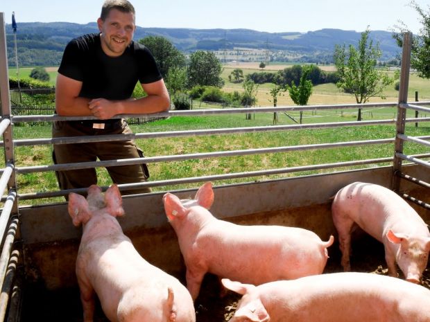 Auch dank Fair & Gut haben die Schweine von Landwirt Christian Mertens aus Attendorn mehr Platz und sind an der frischen Luft.
Auch dank Fair & Gut haben die Schweine von Landwirt Christian Mertens aus Attendorn mehr Platz und sind an der frischen Luft.