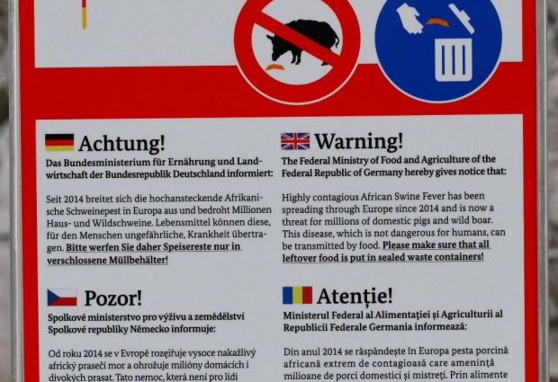 Die Kampagne zielt laut EFSA darauf ab, den Wissensstand über die Tierseuche zu verbessern. Die Kampagne zielt laut EFSA darauf ab, den Wissensstand über die Tierseuche zu verbessern.