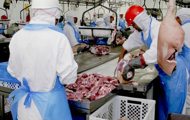 Den ABPA-Zahlen zufolge wurden in den Monaten Mai bis August jeweils rund 100.000 t Schweinefleisch ausgeführt. Den ABPA-Zahlen zufolge wurden in den Monaten Mai bis August jeweils rund 100.000 t Schweinefleisch ausgeführt.
