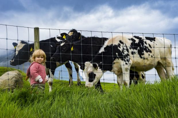 In Dänemark sind viele Landwirte hoch verschuldet. Dem Nachwuchs vergeht damit die Lust an der Tierhaltung. In Dänemark sind viele Landwirte hoch verschuldet. Dem Nachwuchs vergeht damit die Lust an der Tierhaltung.