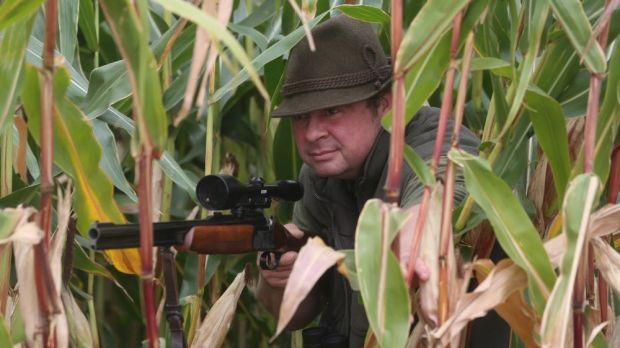 Der Bauernverband fordert die Jagd auf Wildschweine zu verstärken. Der Bauernverband fordert die Jagd auf Wildschweine zu verstärken.