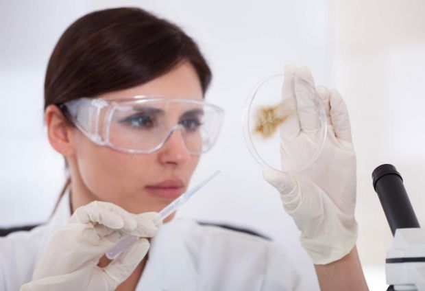 Den Studierenden dieses Masters werdeb naturwissenschaftliche, juristische und wirtschaftswissenschaftliche Kompetenzen vermittelt. Den Studierenden dieses Masters werdeb naturwissenschaftliche, juristische und wirtschaftswissenschaftliche Kompetenzen vermittelt.