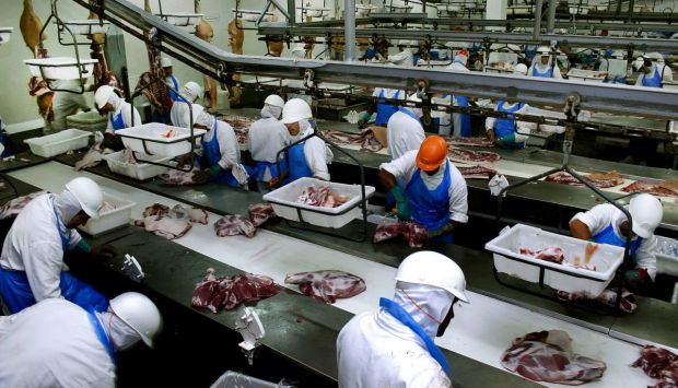 Deutsche Unternehmen sollen sicherstellen, dass innerhalb der Lieferkette, wie hier bei der Zerlegung in einem brasilianischen Schachthof, die Menschenrechte eingehalten werden. Deutsche Unternehmen sollen sicherstellen, dass innerhalb der Lieferkette, wie hier bei der Zerlegung in einem brasilianischen Schachthof, die Menschenrechte eingehalten werden.