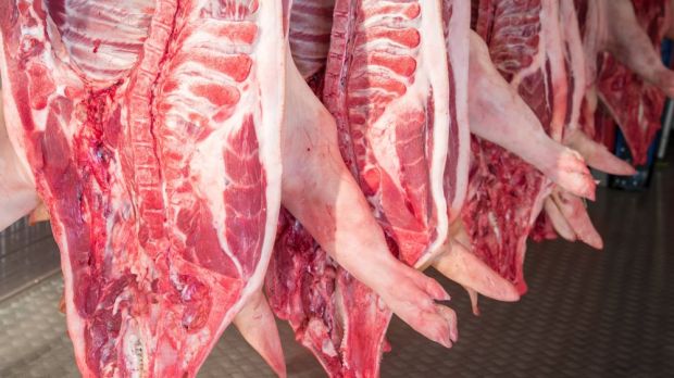 Wegen der höheren Schlachtgewichte kann Deutschland seinen Spitzenplatz in der Schweinefleischproduktion knapp vor Spanien behaupten. Wegen der höheren Schlachtgewichte kann Deutschland seinen Spitzenplatz in der Schweinefleischproduktion knapp vor Spanien behaupten.