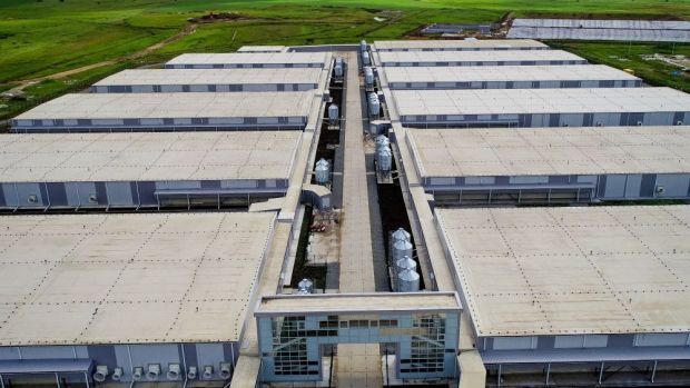 Moderne Großbetriebe wie dieser der RusAgro Group in der Nähe von Wladiwostok sorgen in Russland für steigende Bestandszahlen bei Schweinen. Moderne Großbetriebe wie dieser der RusAgro Group in der Nähe von Wladiwostok sorgen in Russland für steigende Bestandszahlen bei Schweinen.