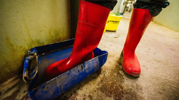 Das Tool bietet Schweineproduzenten die kostenfreie Möglichkeit, ihre betriebsindividuelle Biosicherheit überprüfen zu lassen. Das Tool bietet Schweineproduzenten die kostenfreie Möglichkeit, ihre betriebsindividuelle Biosicherheit überprüfen zu lassen.