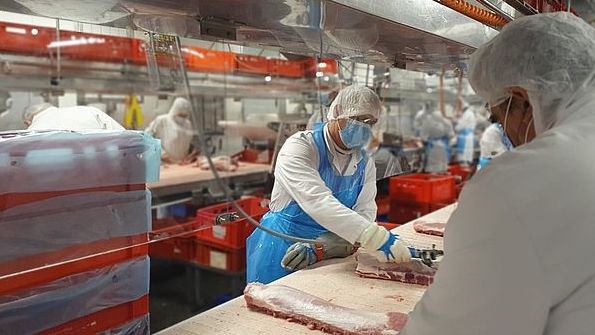 In der deutschen Fleischindustrie wurden Leiharbeit und Werkverträge mit dem Arbeitsschutzkontrollgesetz weitgehend unterbunden. In den Niederlanden sind diese Beschäftigungsverhältnisse dagegen weit verbreitet. In der deutschen Fleischindustrie wurden Leiharbeit und Werkverträge mit dem Arbeitsschutzkontrollgesetz weitgehend unterbunden. In den Niederlanden sind diese Beschäftigungsverhältnisse dagegen weit verbreitet.