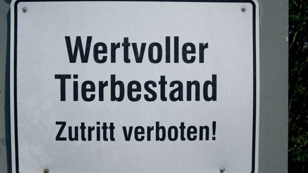 Mit seinen Tieren ist der Schweinehalter offenbar nicht so umgegangen, wie es die Gesetze erfordern. Mit seinen Tieren ist der Schweinehalter offenbar nicht so umgegangen, wie es die Gesetze erfordern.