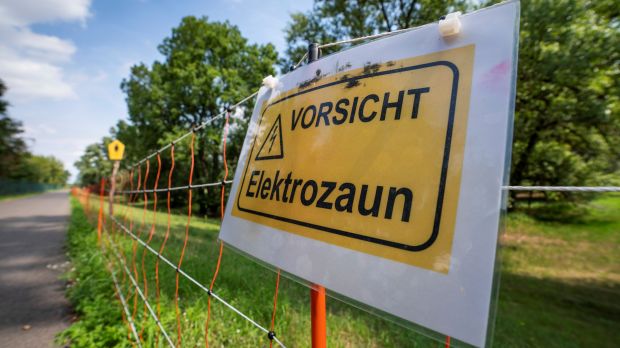Die Kernzone wird mit einem elektrischen Zaun abgesichert Die Kernzone wird mit einem elektrischen Zaun abgesichert